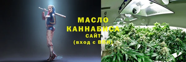 сатива Баксан