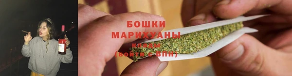 сатива Баксан
